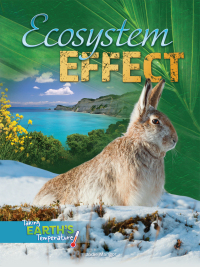 Cover image: Ecosystem Effect 9781641566933