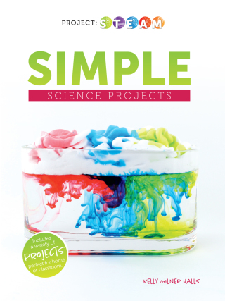 Imagen de portada: Simple Science Projects 9781641565882