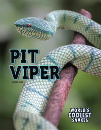 Cover image: Pit Viper 9781641567213