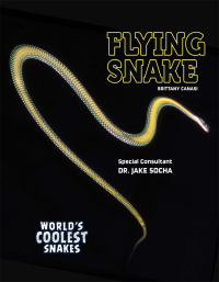 Cover image: Flying Snake 9781641566100