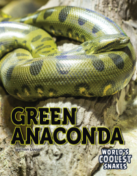 Imagen de portada: Green Anaconda 9781641567251