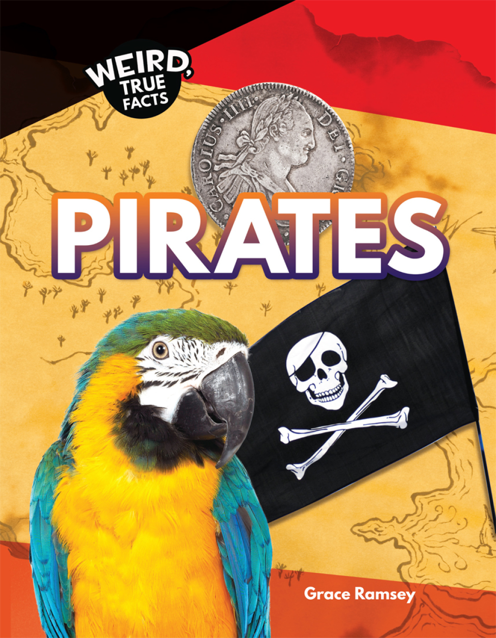 Pirates eBook