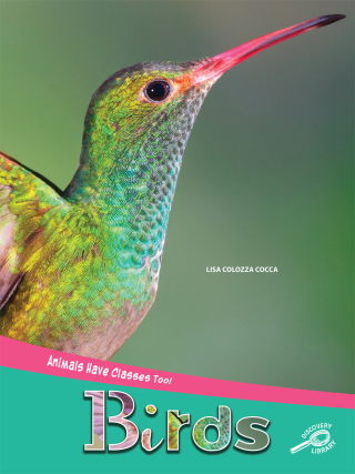 Cover image: Animals Have Classes Too! Birds 9781643691091