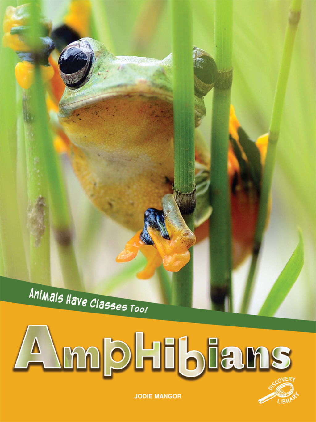 Animals Have Classes Too! Amphibians