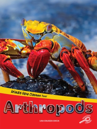 Imagen de portada: Animals Have Classes Too! Arthropods 9781643690766
