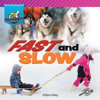 Imagen de portada: Fast and Slow 9781731612052