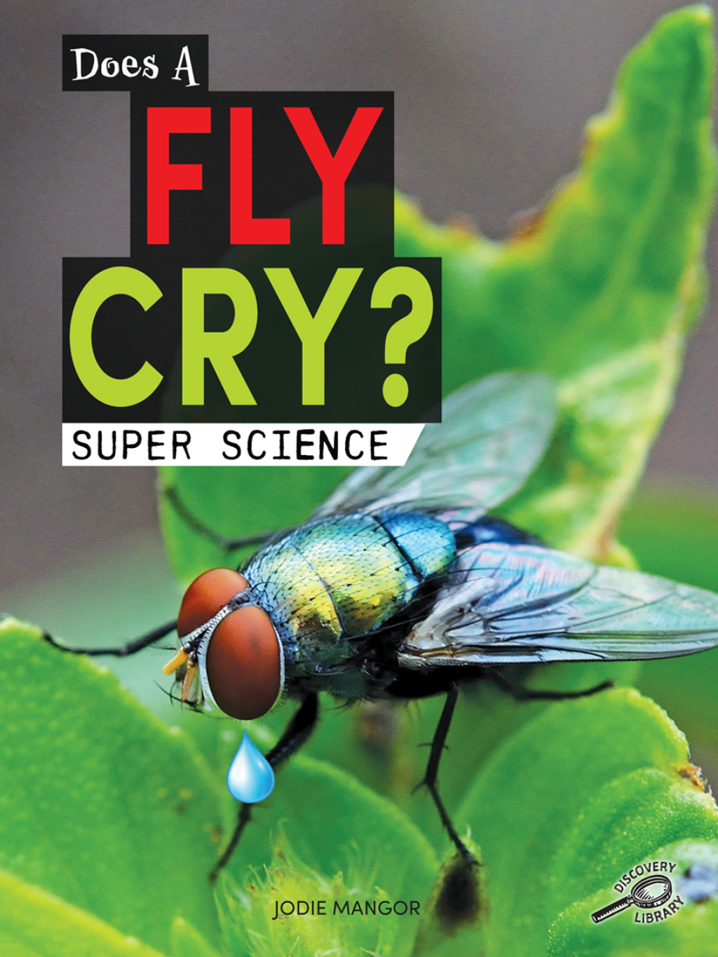 Does a Fly Cry?