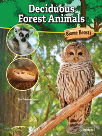 Imagen de portada: Deciduous Forest Animals 9781731612359