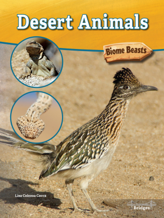 Cover image: Desert Animals 9781731612366