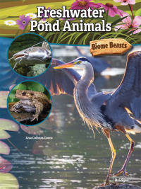 Imagen de portada: Freshwater Pond Animals 9781731612380