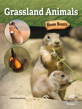 Cover image: Grassland Animals 9781731612397