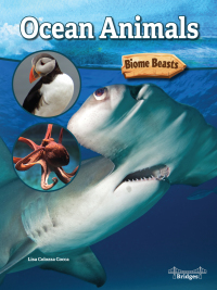 Cover image: Ocean Animals 9781731612403