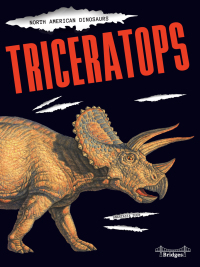Imagen de portada: Triceratops 9781731612458