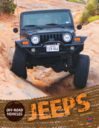 Cover image: Jeeps 9781731612588