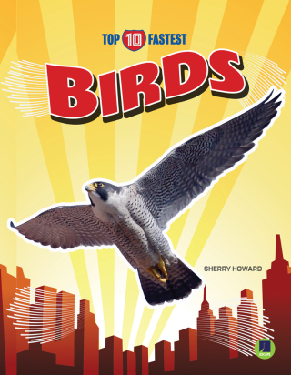 Cover image: Birds 9781731612656