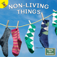 Omslagafbeelding: Non-Living Things 9781731617743