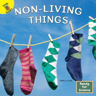 Titelbild: Non-Living Things 9781731617743