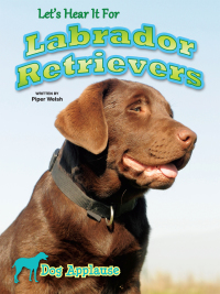 Cover image: Let's Hear It For Labrador Retrievers 9781621697602
