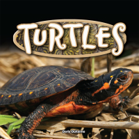 Cover image: Turtles 9781683421993