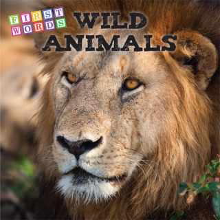 Imagen de portada: WILD ANIMALS 9781731620804