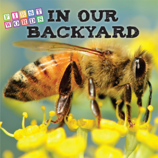 Cover image: In Our Backyard 9781634308120