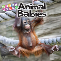 表紙画像: Animal Babies 9781634308144