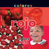 Cover image: Colores: Rojo 9781600447457