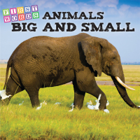 Imagen de portada: Animals Big and Small 9781634308137