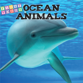 Imagen de portada: Ocean Animals 9781634308182