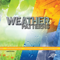 Cover image: Weather Patterns 9781731628350