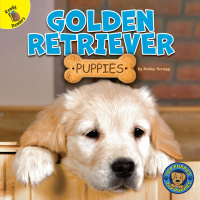 Omslagafbeelding: Golden Retriever Puppies 9781731628541