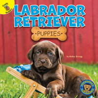 Imagen de portada: Labrador Retriever Puppies 9781731628589