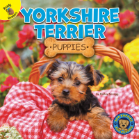 表紙画像: Yorkshire Terrier Puppies 9781731628671
