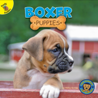 Imagen de portada: Boxer Puppies 9781731628725