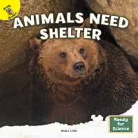 Imagen de portada: Animals Need Shelter 9781731638687