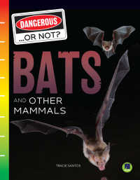 Omslagafbeelding: Bats and Other Mammals 9781731638915