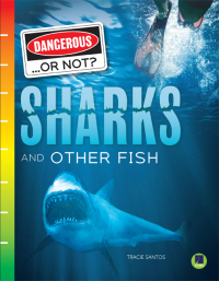 Imagen de portada: Sharks and Other Fish 9781731638953