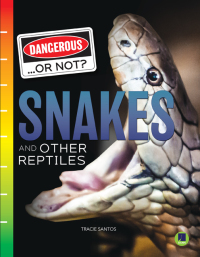 Imagen de portada: Snakes and Other Reptiles 9781731638977
