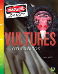 Cover image: Vultures and Other Birds 9781731638984