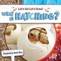 Imagen de portada: What Is Hatching? 9781731652218