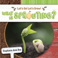 Imagen de portada: What Is Sprouting? 9781731652232