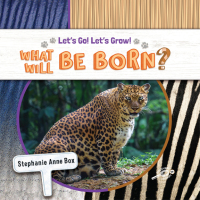 Imagen de portada: What Will Be Born? 9781731652225