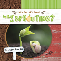 Imagen de portada: What Is Sprouting? 9781731652232