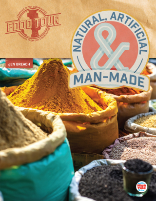 Cover image: Natural, Artificial, and Man-Made 9781731652607