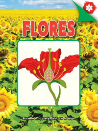 Cover image: Flores 9781731654960