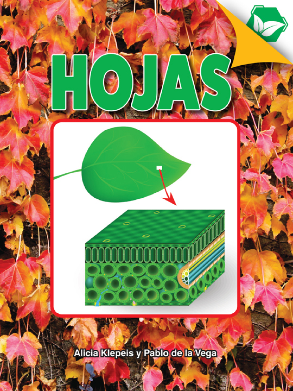 Hojas Leaves