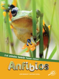 Cover image: Anfibios 9781731655073