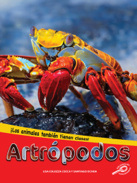 Cover image: Artrópodos 9781731655103