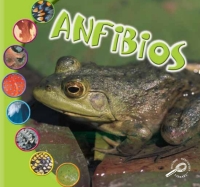 Cover image: Anfibios 9781731656674