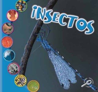 Imagen de portada: Insectos 9781731656698